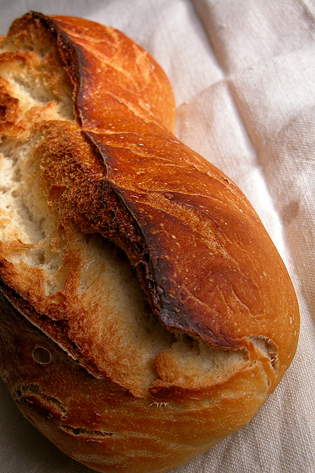 pane più facile del mondo panefacilissimo01 Il pane più facile del mondo