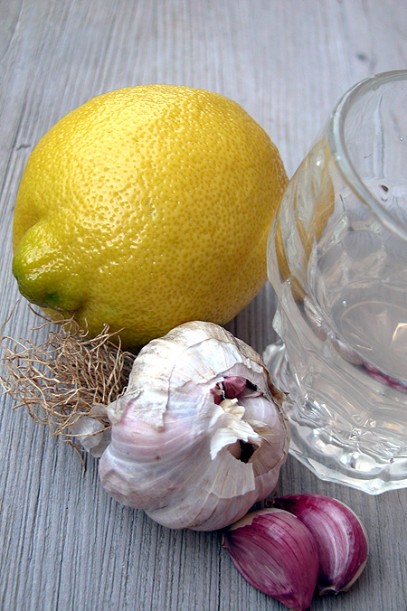 tisanaaglioelimone Tisana antibiotica