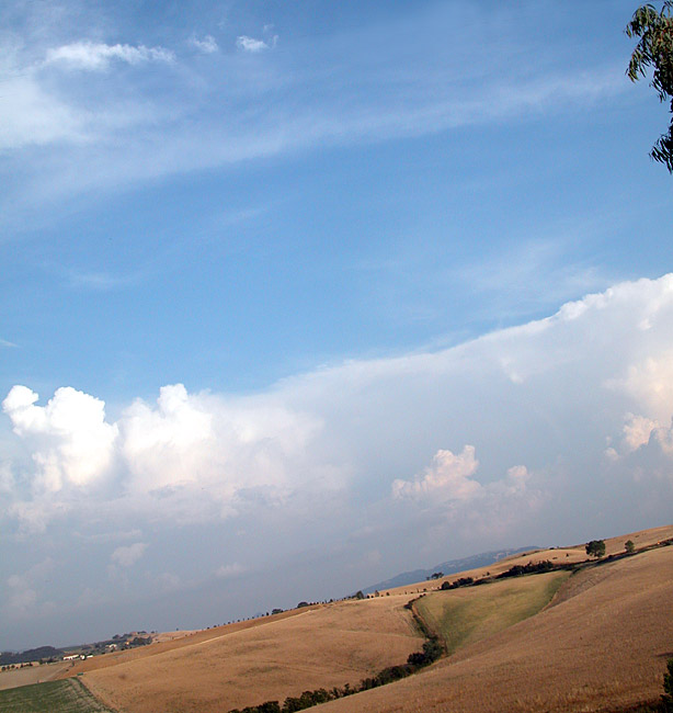 cielo toscano dellacapannina01 Della Capannina, e della Toscana bio