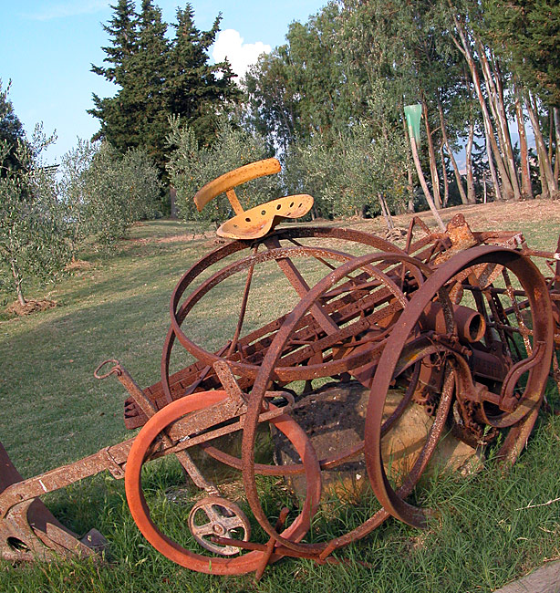 scultura di metallo dellacapannina02 Della Capannina, e della Toscana bio