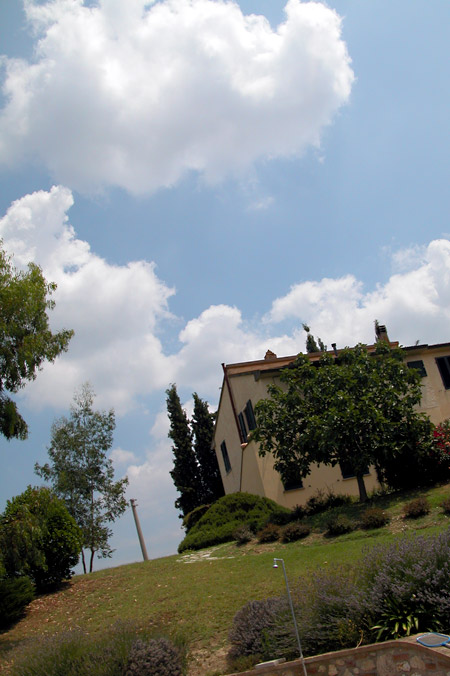 casa Ruffilli dellacapannina11 Della Capannina, e della Toscana bio