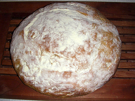 pane di altamura magiepanedialtamura la stanza delle magie