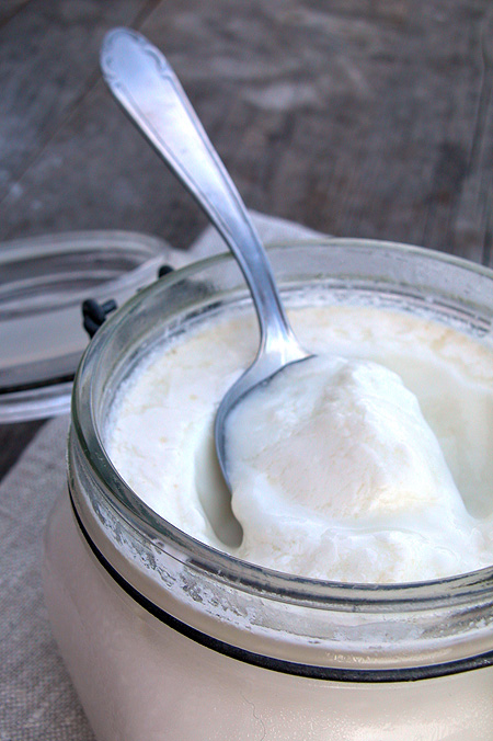 yogurt01 Lo yogurt fatto in casa