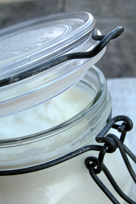 yogurt02 Lo yogurt fatto in casa