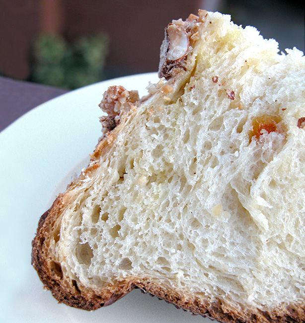 habemuscolomba01 Habemus colomba
