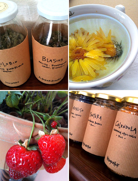 tisane biologiche altoatesine unbuonnon03 Un buon non compleanno 8 )