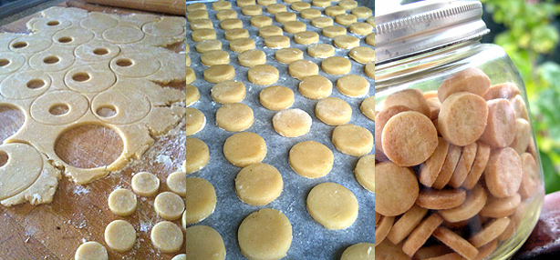 biscotti piccolissimi lapatesucree02 La pâte sucrée