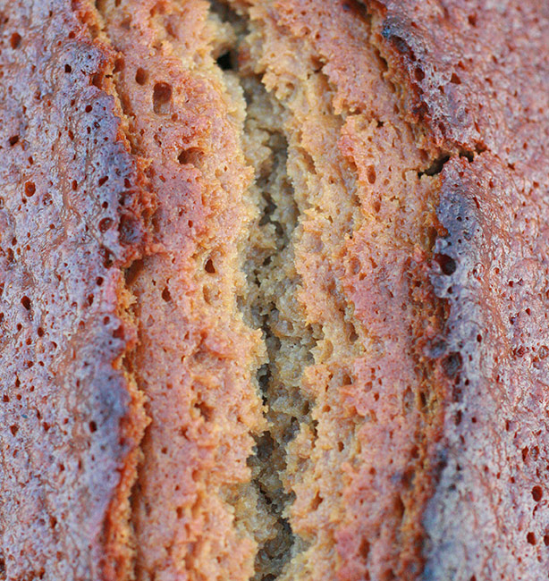 pan di spezie pandispezie03 Pan di spezie ineluttabile