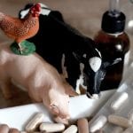 pesticidi nei prodotti animali