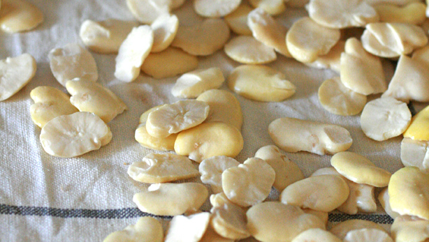 favebianchefritte05 Fave bianche fritte