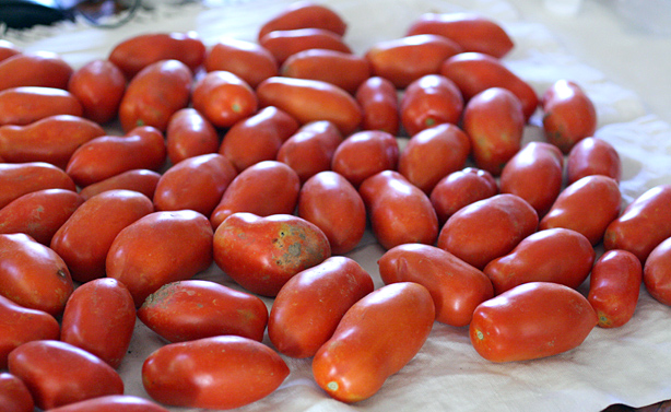 unpomodoroeper02 Un pomodoro è per sempre