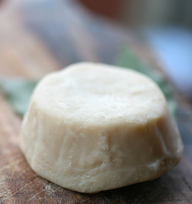 pacitti ricotta moscia pacittiricottamoscia01 Pacitti Ricotta moscia