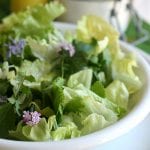 insalata verde mista